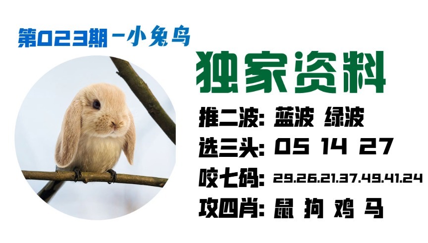 023期小兔鸟[图]